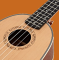 Seasons of the Ukulele forum